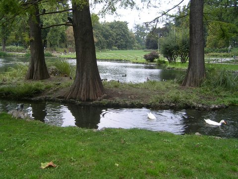 milan park.JPG